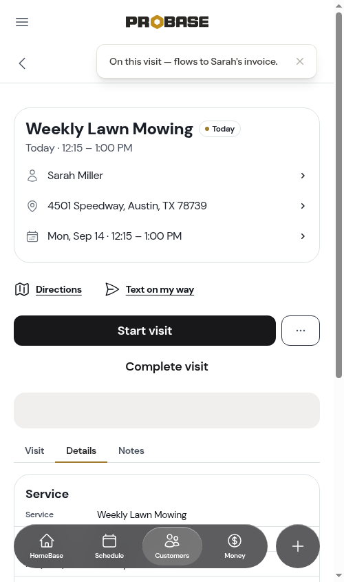 The Details tab showing This visit charges