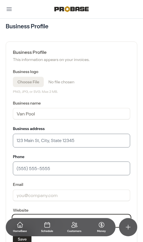 Bare domain typed into the website field