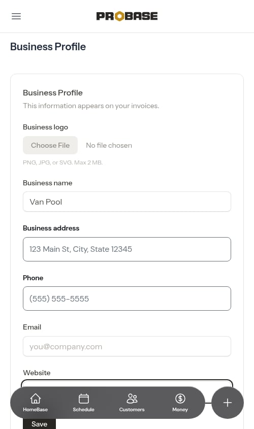 Bare domain typed into the website field