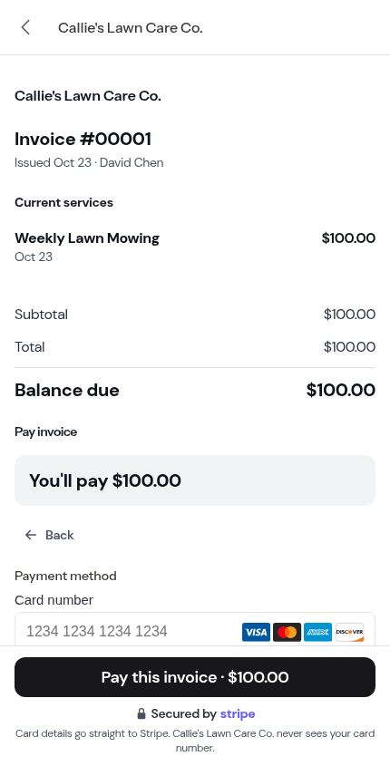 The customer's invoice page with the pinned pay bar