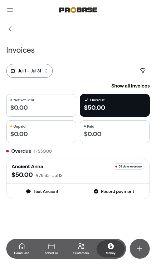 On a July range, the Overdue group holds only July's invoices — the same count as Money's overdue row