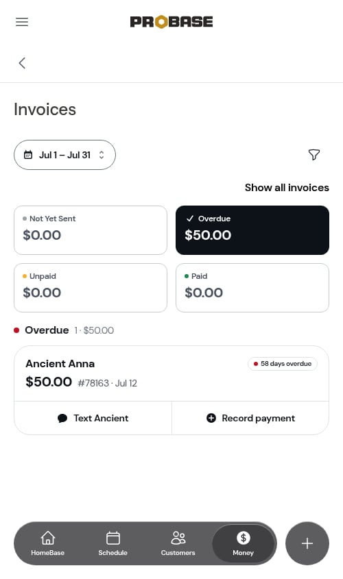 On a July range, the Overdue group holds only July's invoices — the same count as Money's overdue row