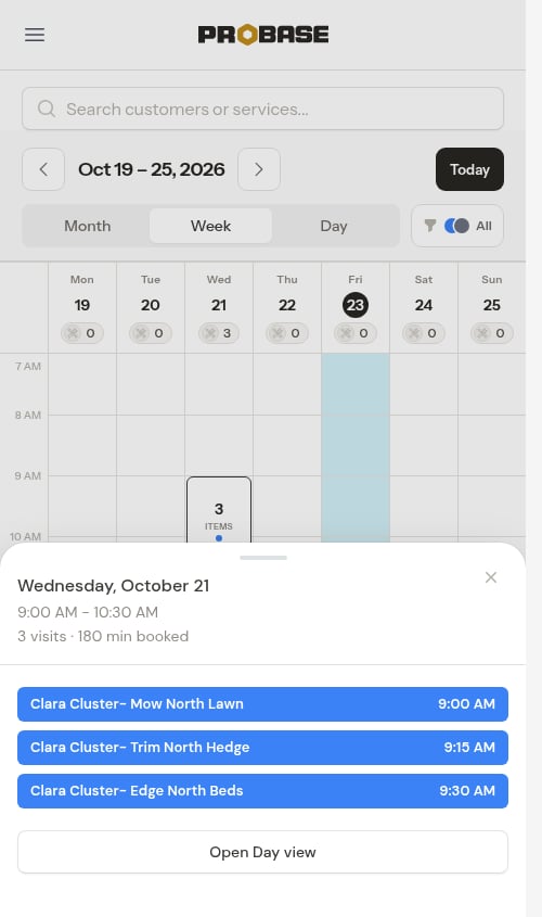 Cluster box tapped, opening the day overview