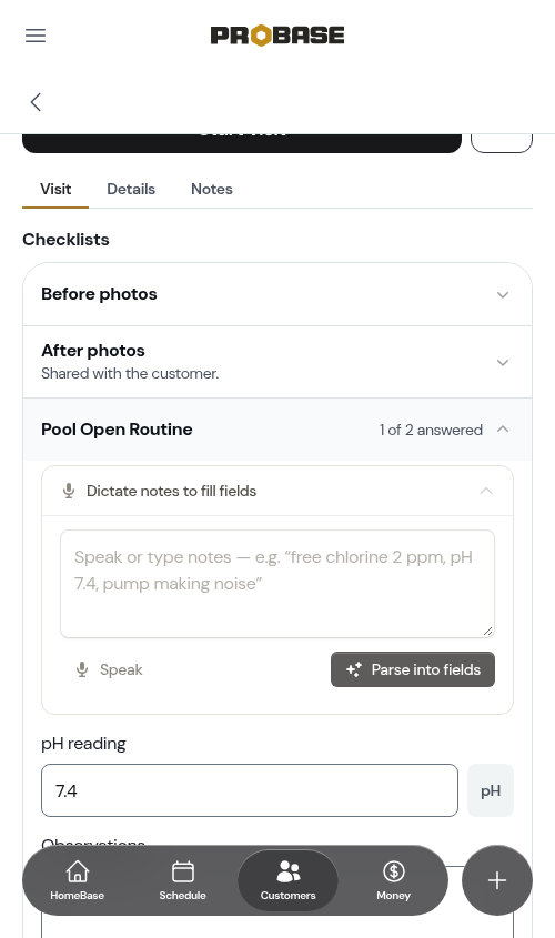 Voice dictation panel