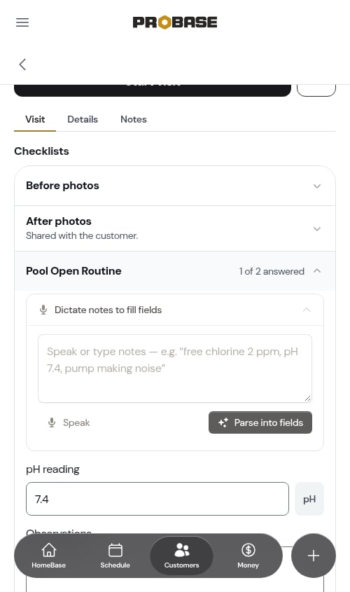 Voice dictation panel