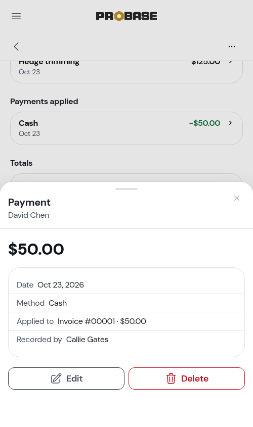 A payment's details