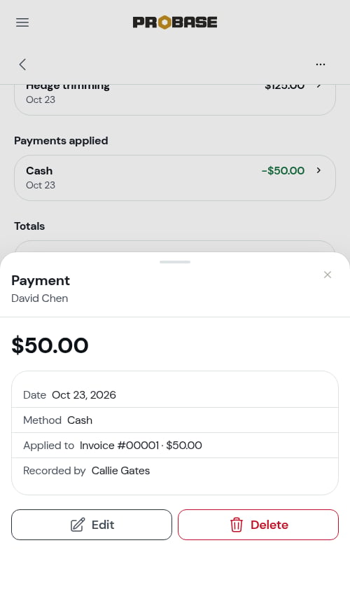 A payment's details