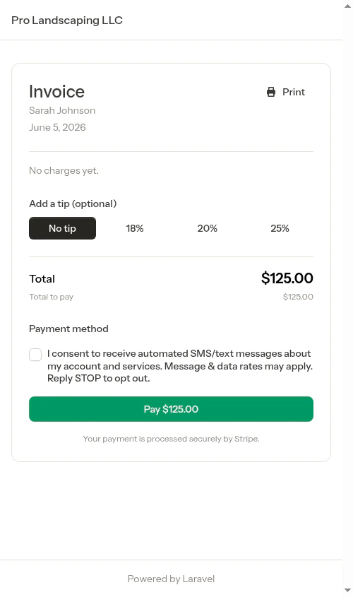 Stripe payment form without tip