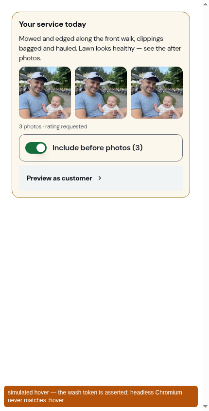 The Preview as customer row