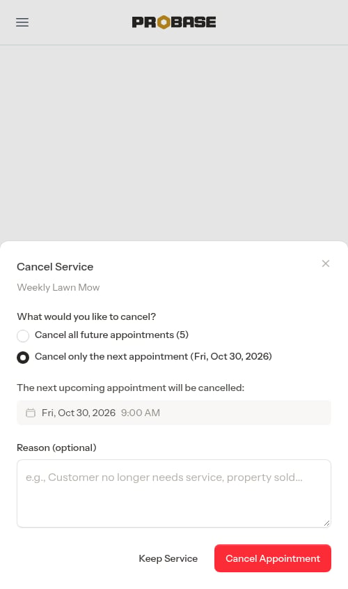 The window set to cancel only the next appointment