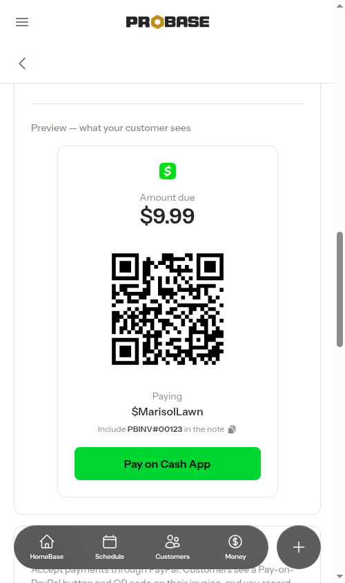 Cash App settings showing the live customer preview