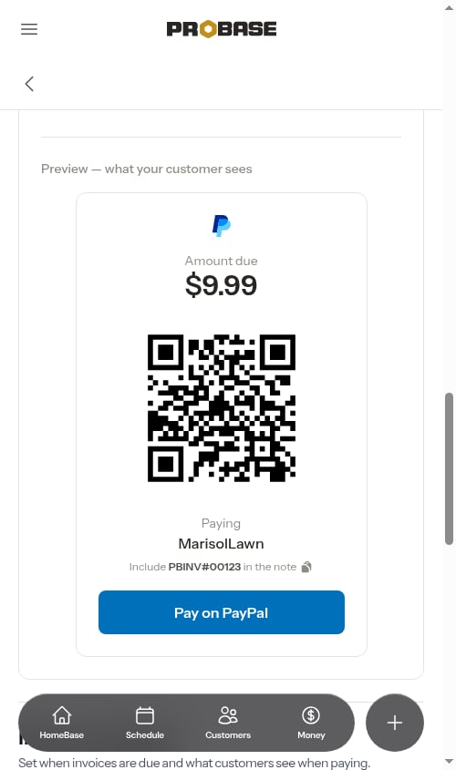 PayPal settings with the live preview