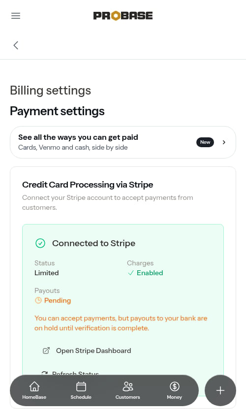 Connected to Stripe card showing Limited status with payouts pending
