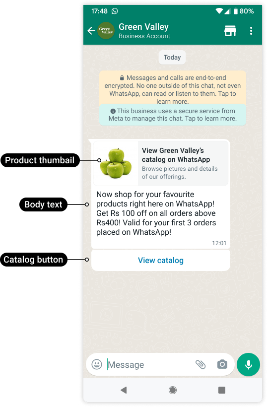Meta catalog template labeling the product thumbnail, message body, and View catalog button.