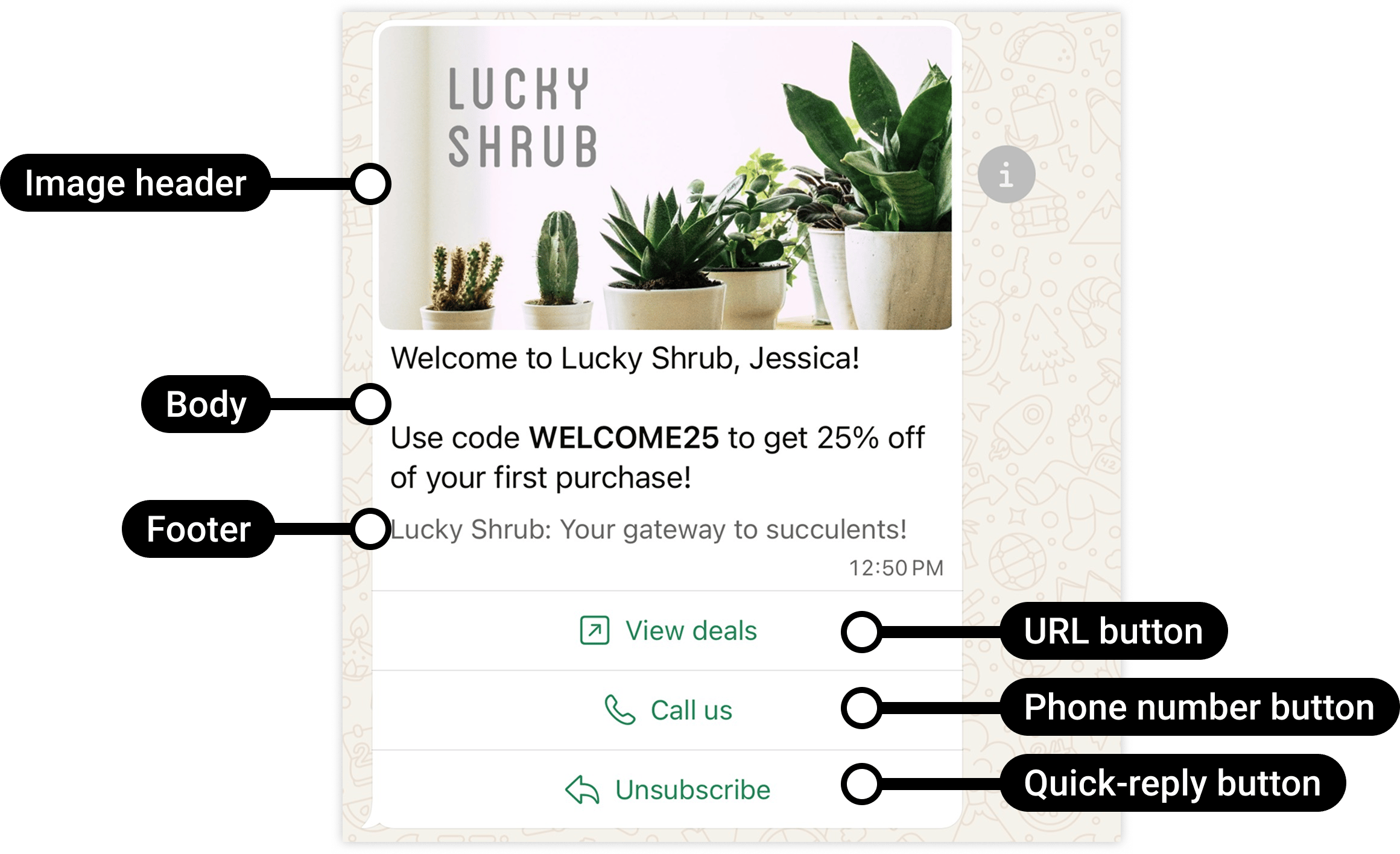 Meta marketing example with a discount offer and labeled components.