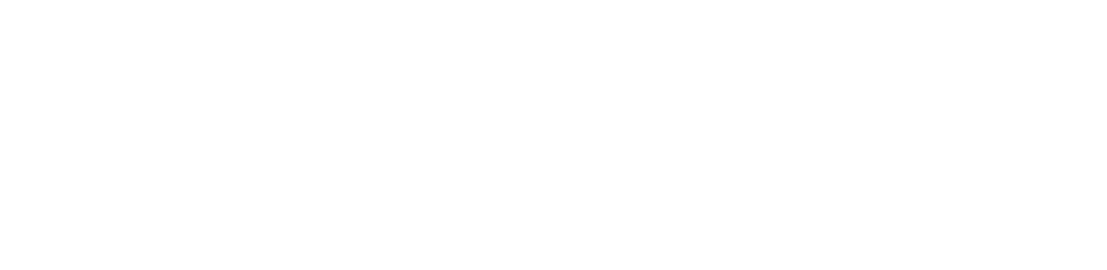 dark logo