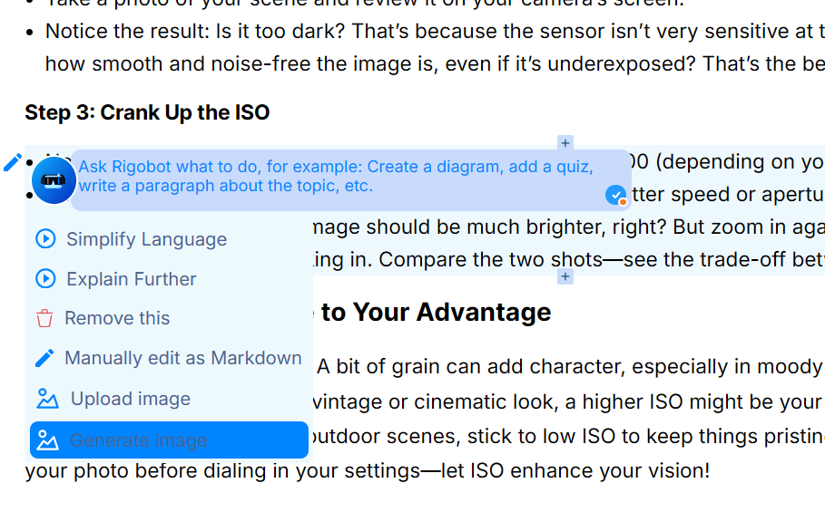 Rigobot prompt example