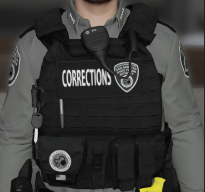 Plate Carrier