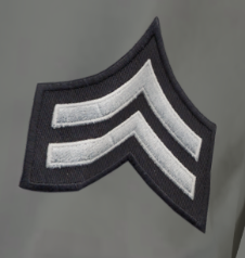 Senior Corrections Officer insignia