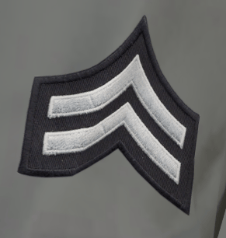 Senior Corrections Officer insignia
