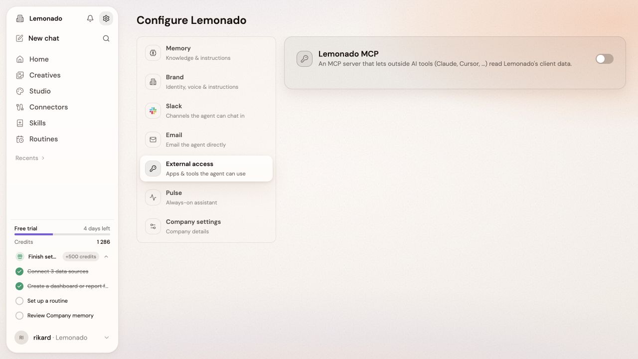 Company External access settings with the connection switched off
