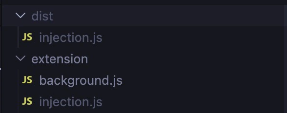 Injection Js In Dist And Extension