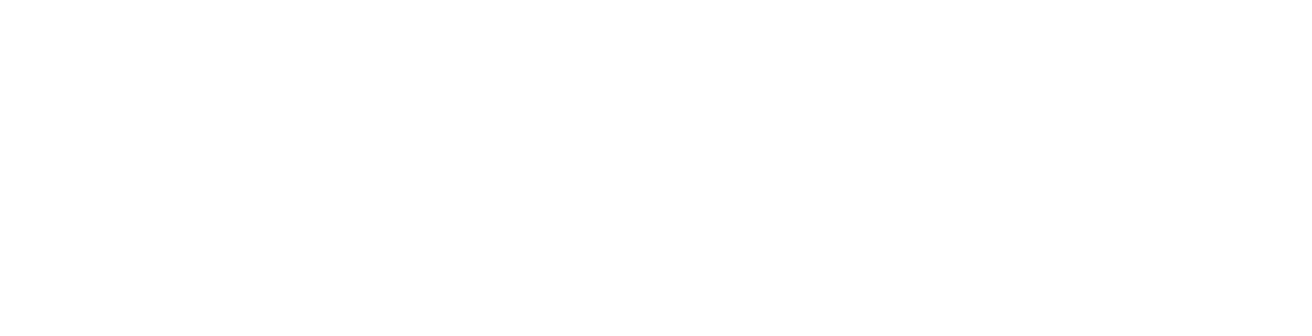 dark logo