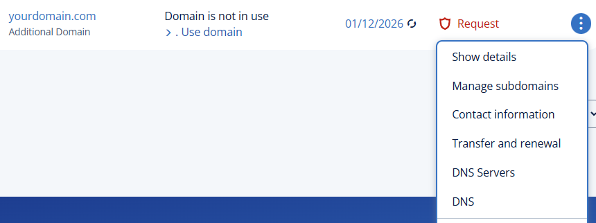 Set Custom Domain 3a