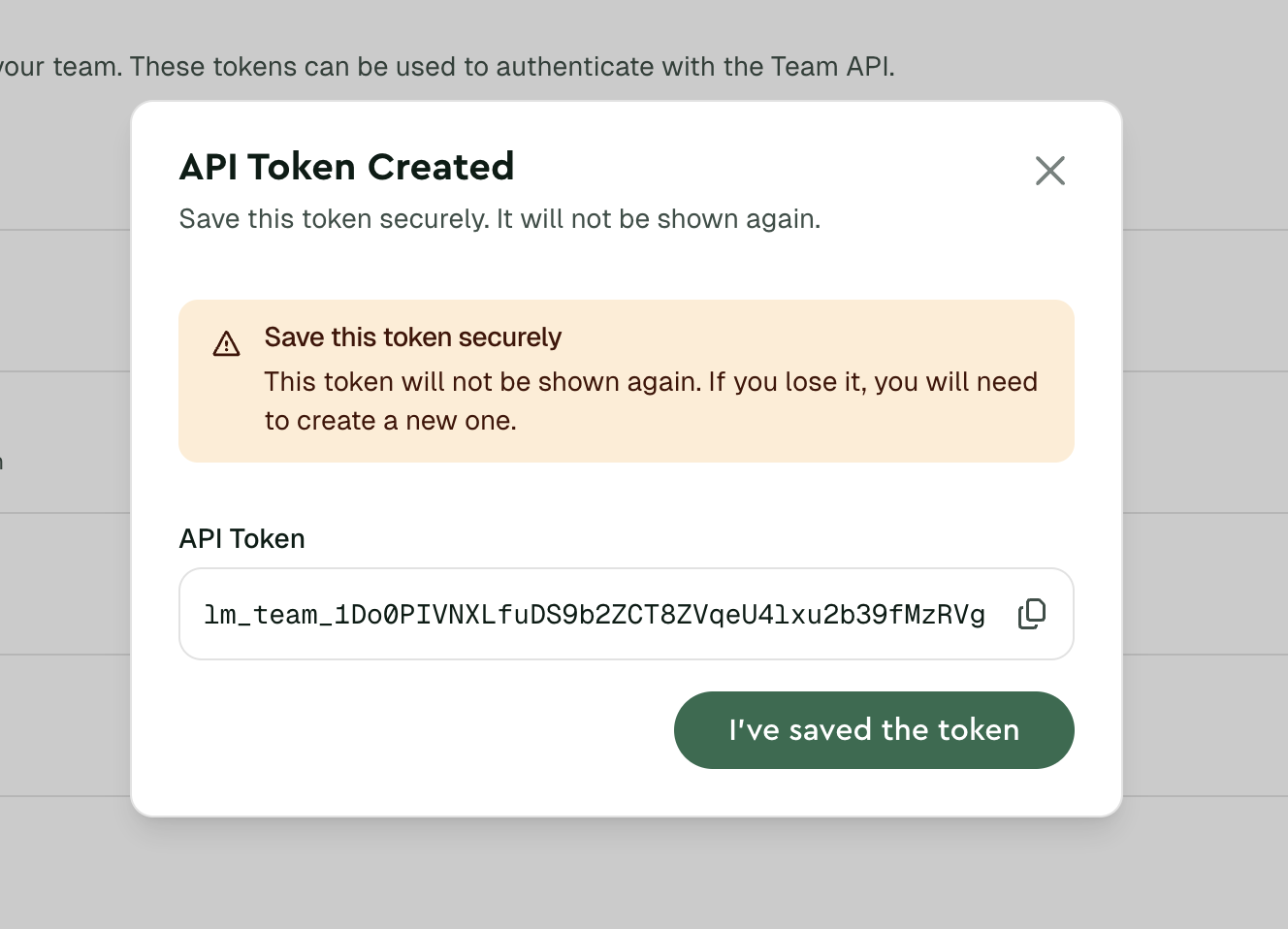 Team API token displayed once after creation in the dashboard