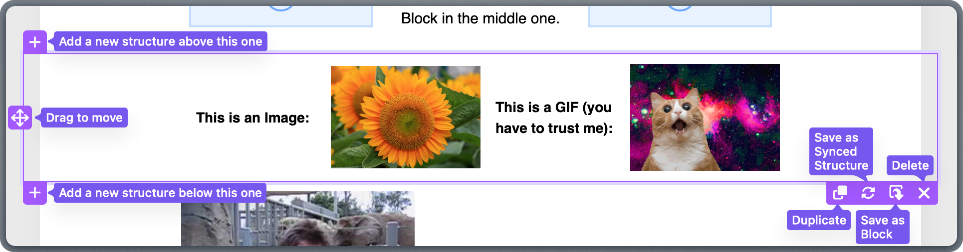 Selected structure showing action icons for move, duplicate, save, and delete operations