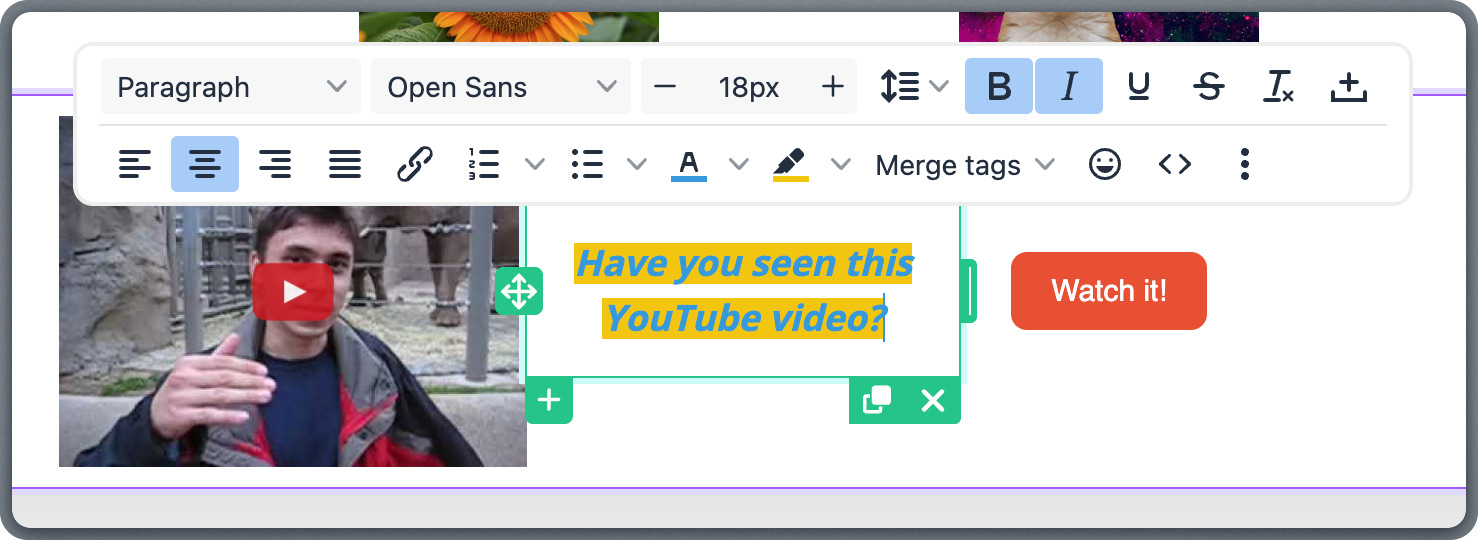 Text block with formatting toolbar showing font, size, color, and alignment options