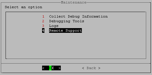 Remote Support Function Format Creating a Remote Support Session - Level Blue