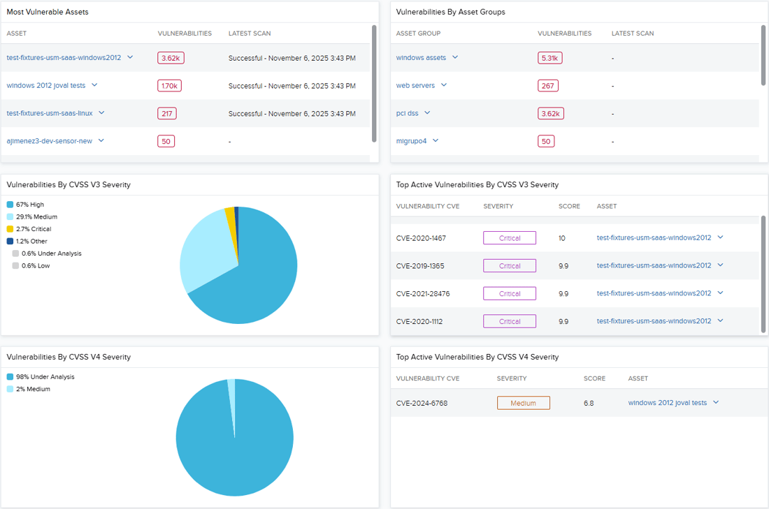 Vulnerabilities Interface Vulnerabilities Dashboard - Level Blue