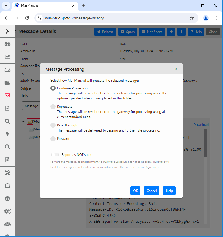 Message Processing window showing release options