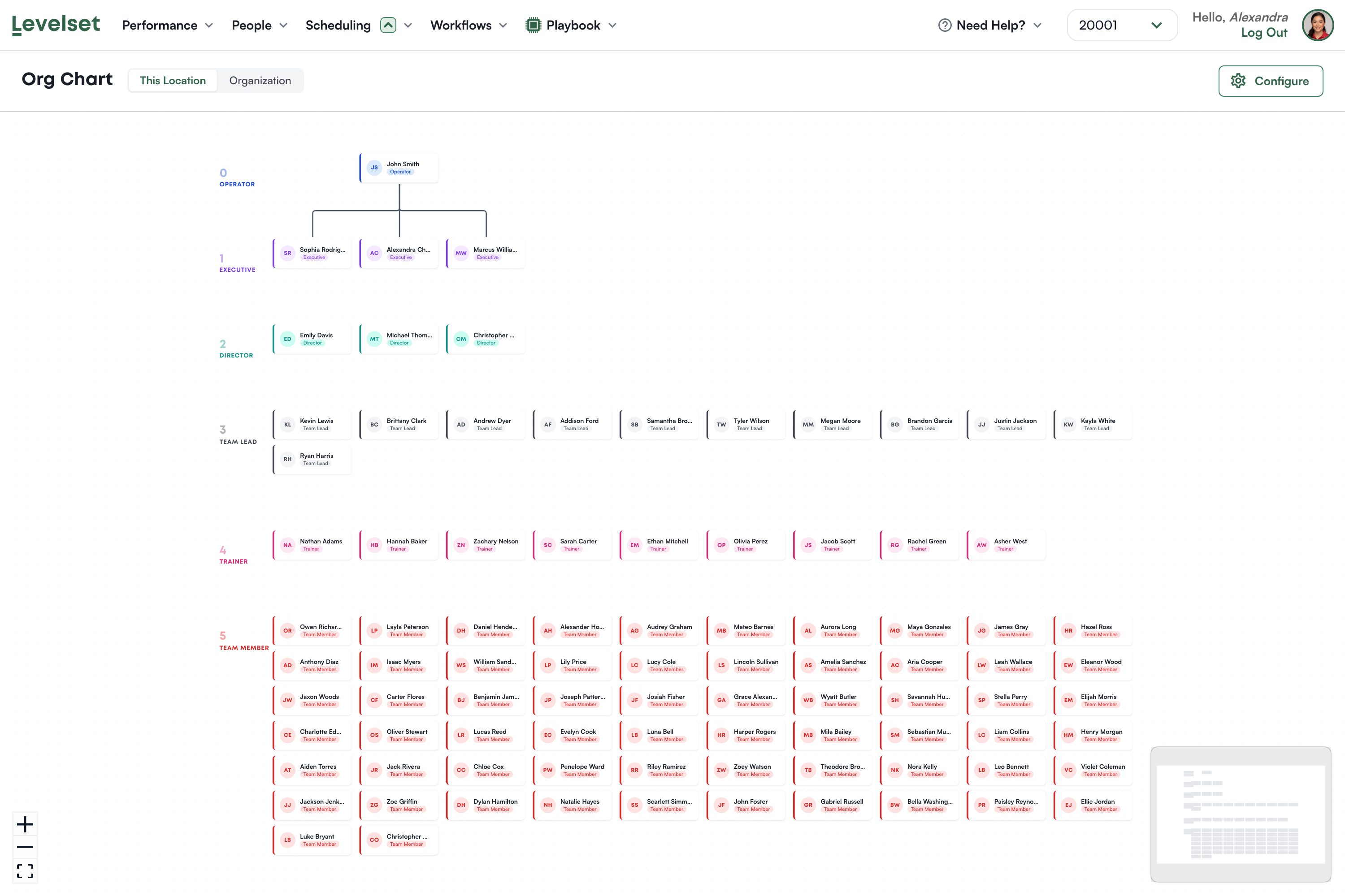 The org chart with tiers from Operator down to Team Member