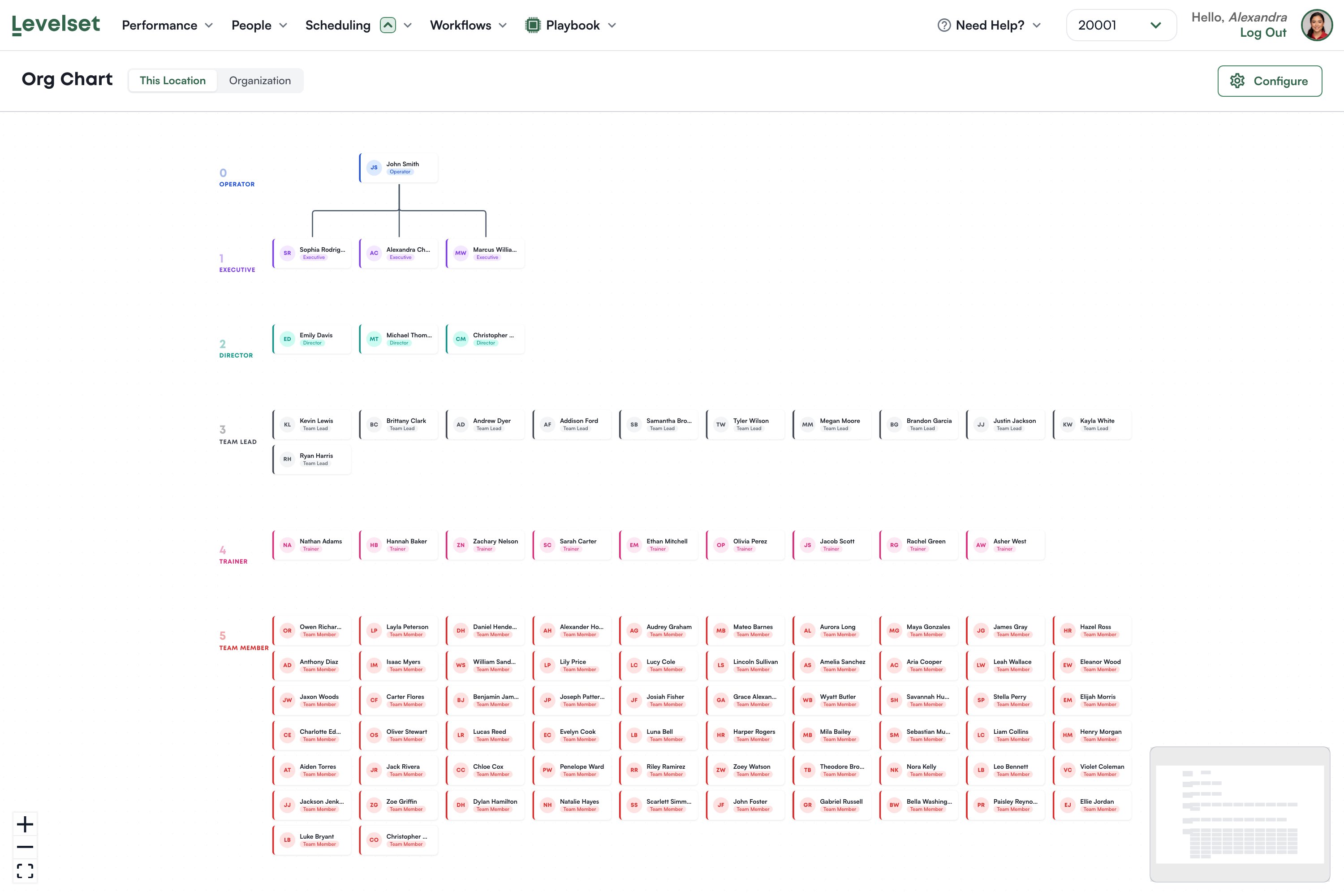 The org chart with tiers from Operator down to Team Member