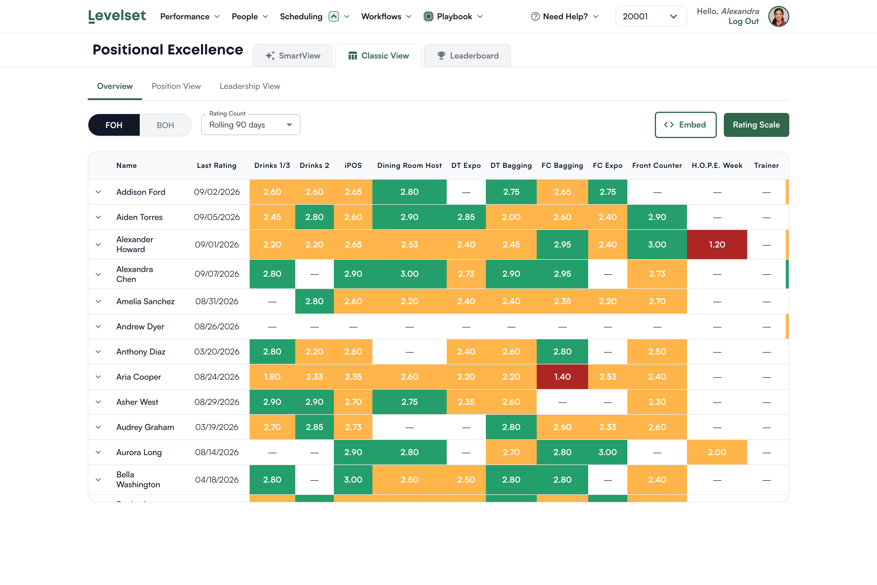 Classic View on the Overview tab: one row per team member, one column per position, each cell colored by the rating scale