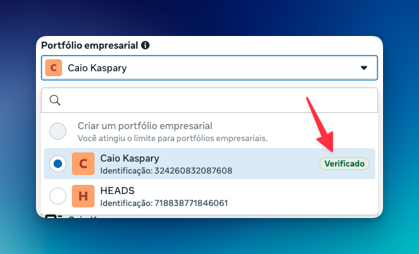 Seleção do Portfólio Empresarial verificado