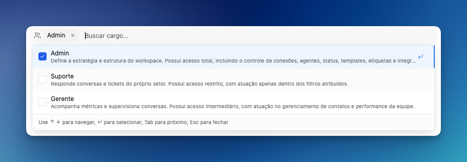 Seleção de roles na LíderHub: Admin, Suporte e Gerente