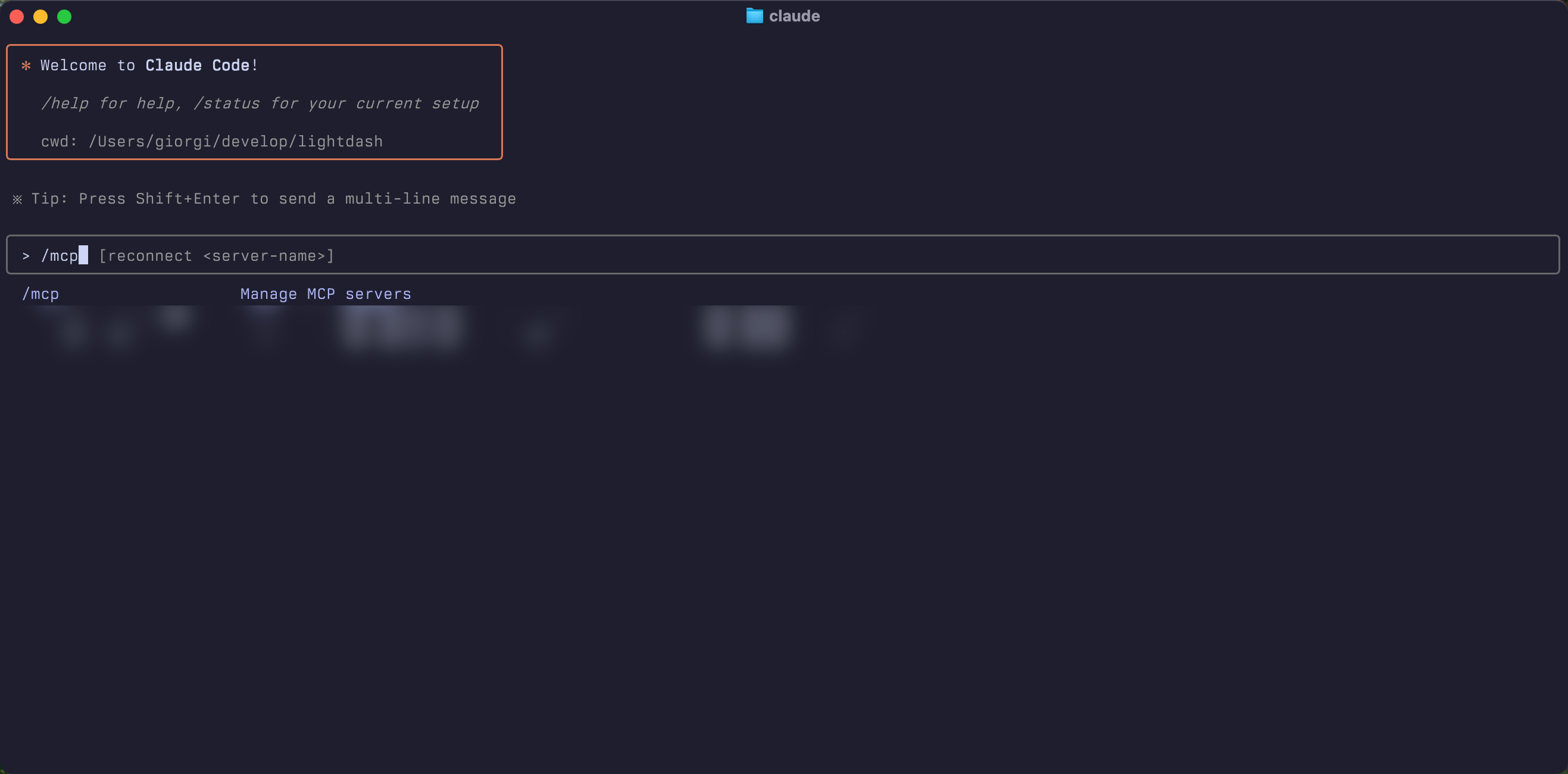Type /mcp to see available MCP connections