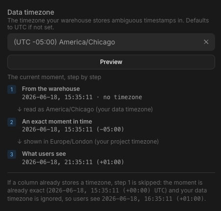 Data timezone preview showing the raw, interpreted, and rendered values