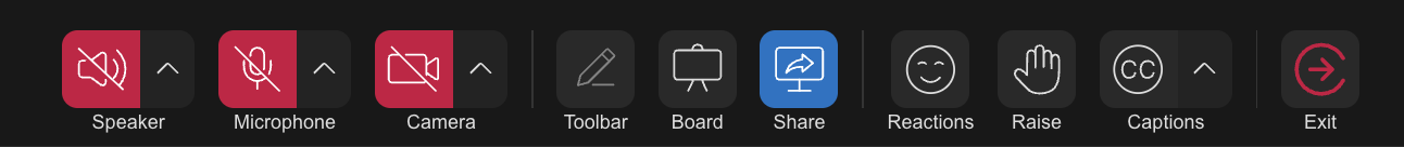 Bottombar Sharescreen Icon