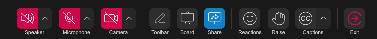 Bottombar Sharescreen Icon