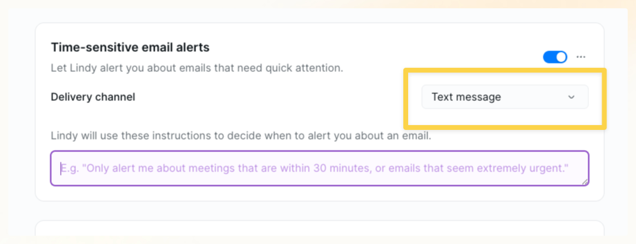 Time-sensitive email alerts settings with a delivery channel and an instructions field