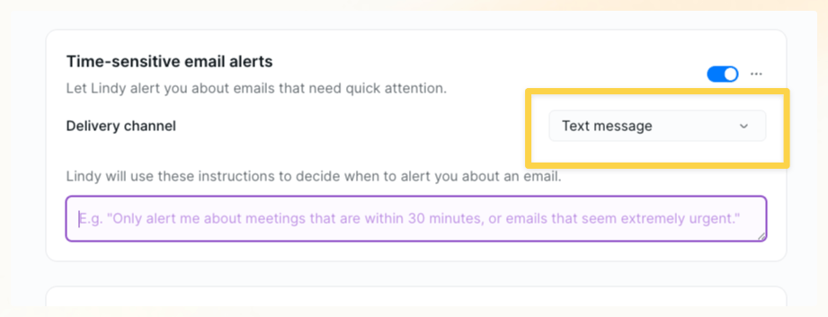 Time-sensitive email alerts settings with a delivery channel and an instructions field