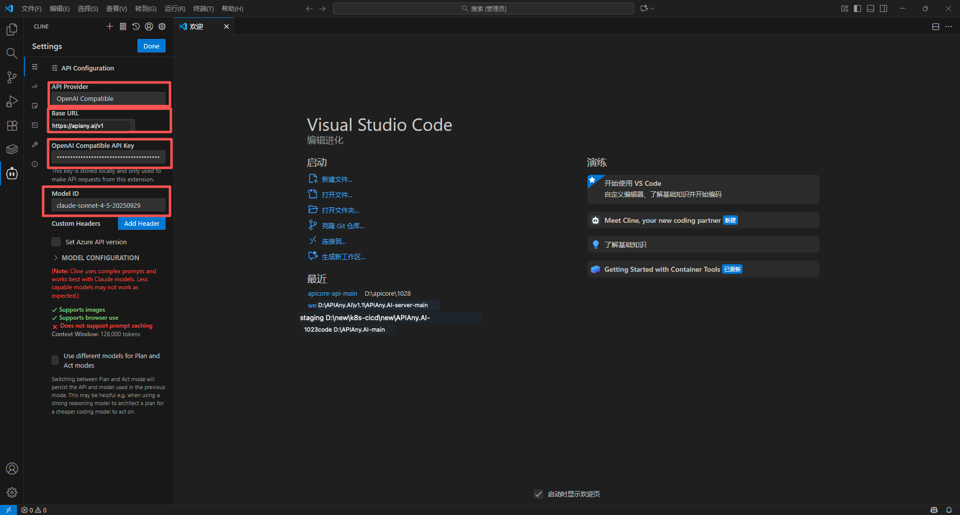 Cline setup screenshot 3