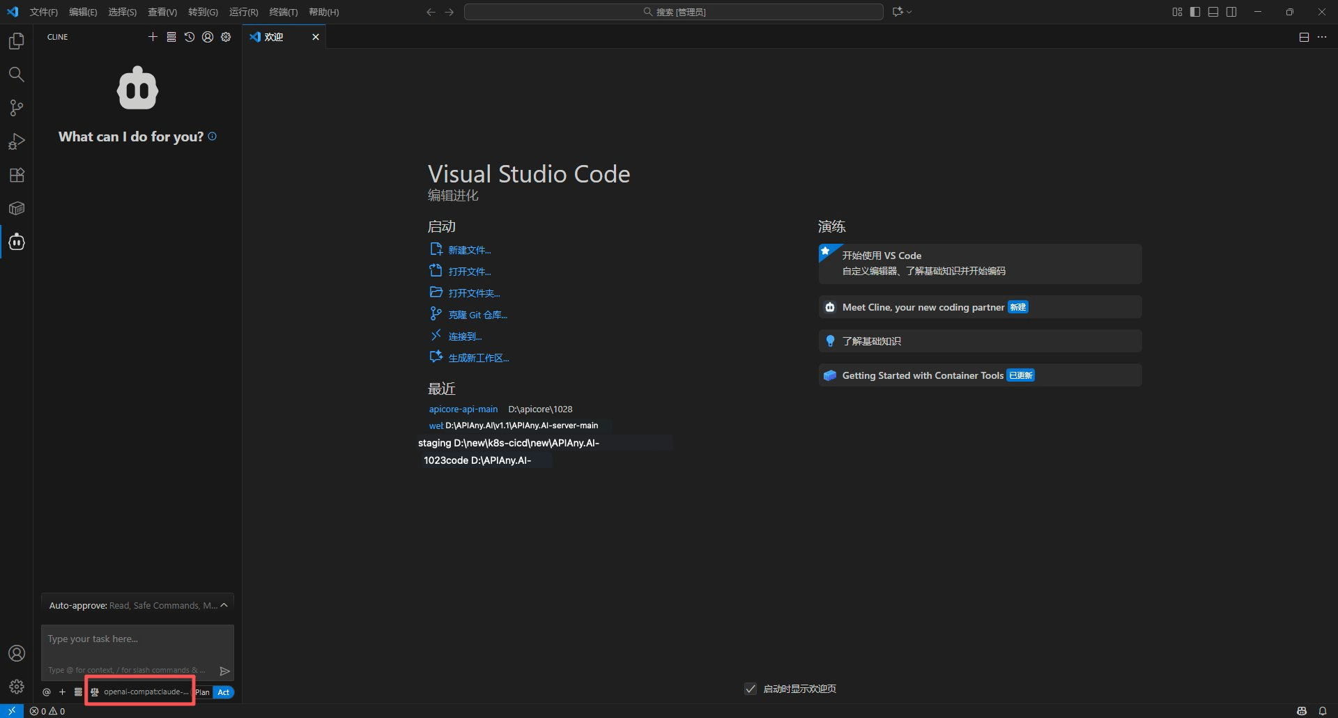 Cline setup screenshot 4