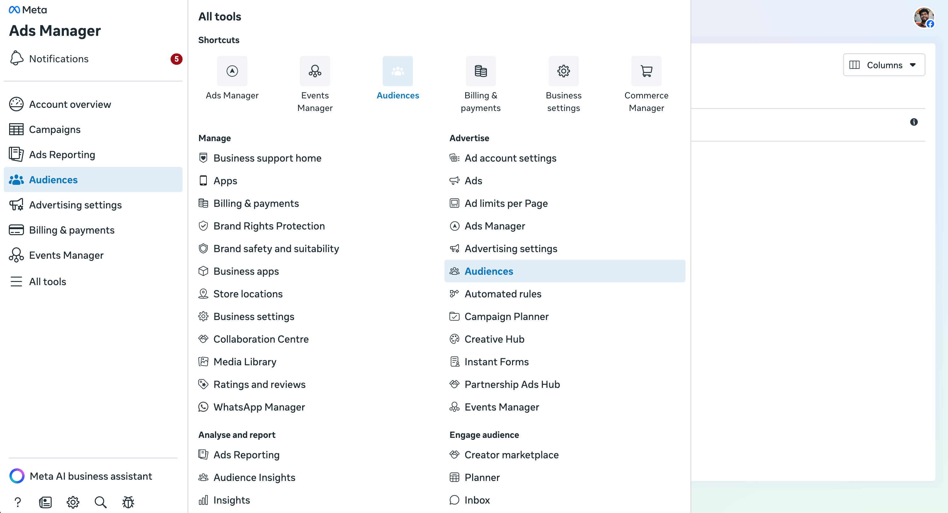 Meta Audiences Dashboard