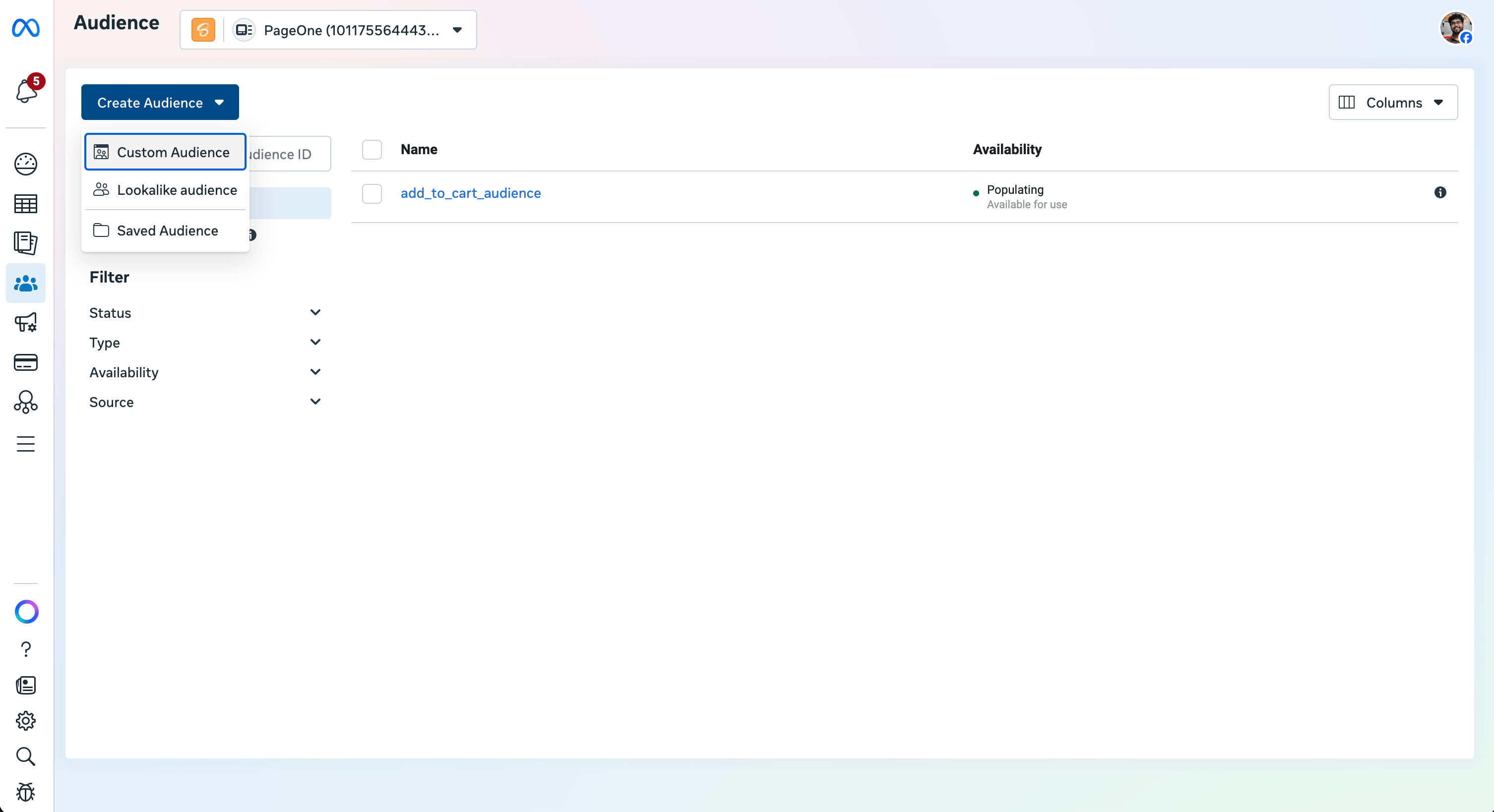 Create Custom Audience