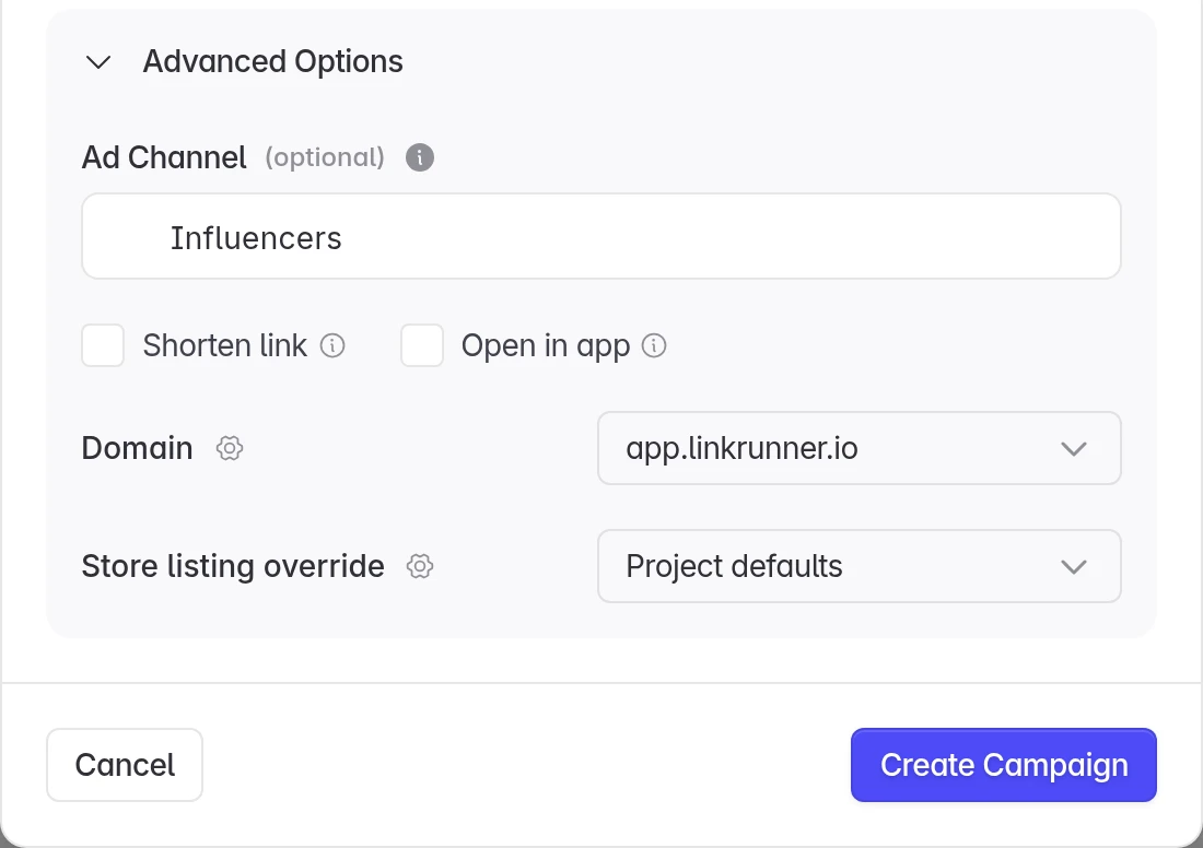 Advanced Options with a custom channel, the domain and the Create Campaign button